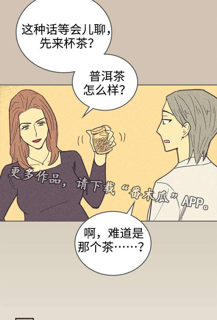 开或关 - 普洱茶 - 第39页