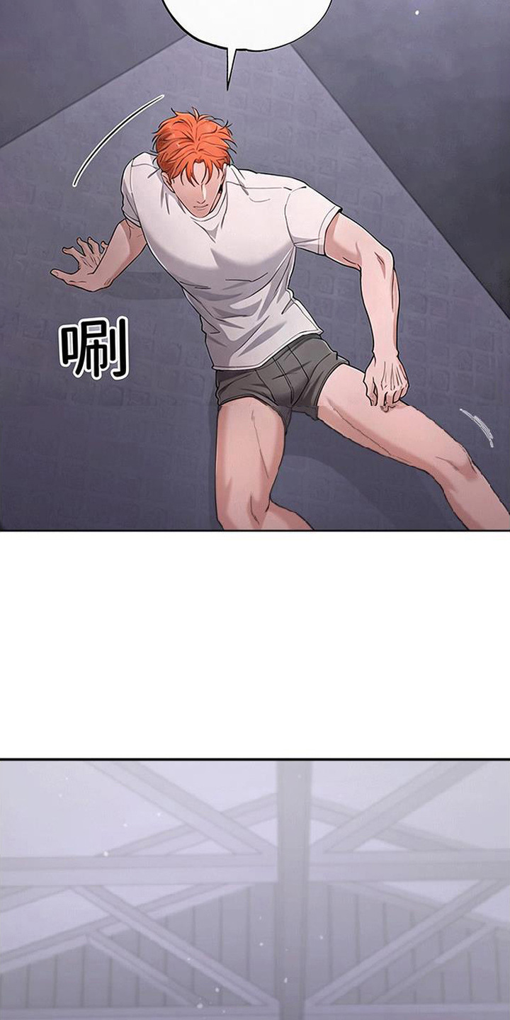 星光狼影 - 绑架 - 第20页