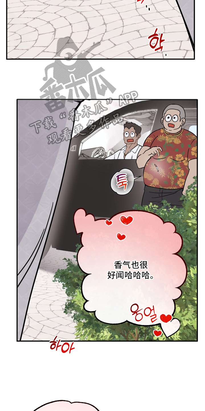开发捕获 - 不能心软 - 第15页
