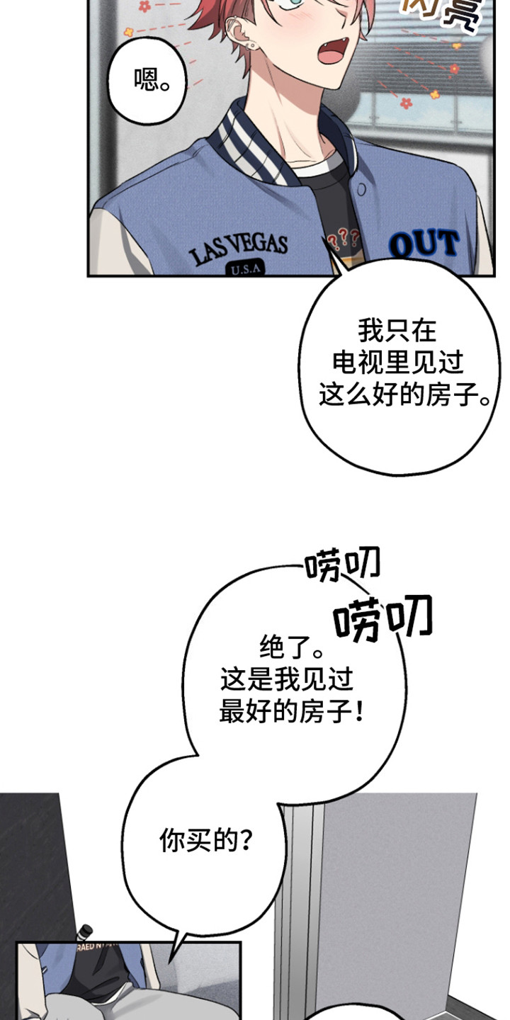 初始目标 - 带回家 - 第17页