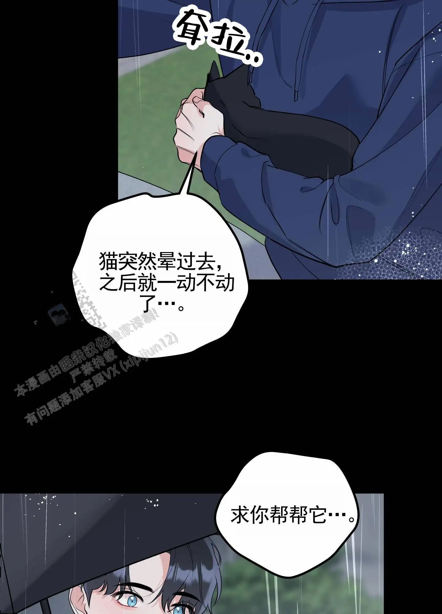 我的猫系男友 - 相识 - 第36页