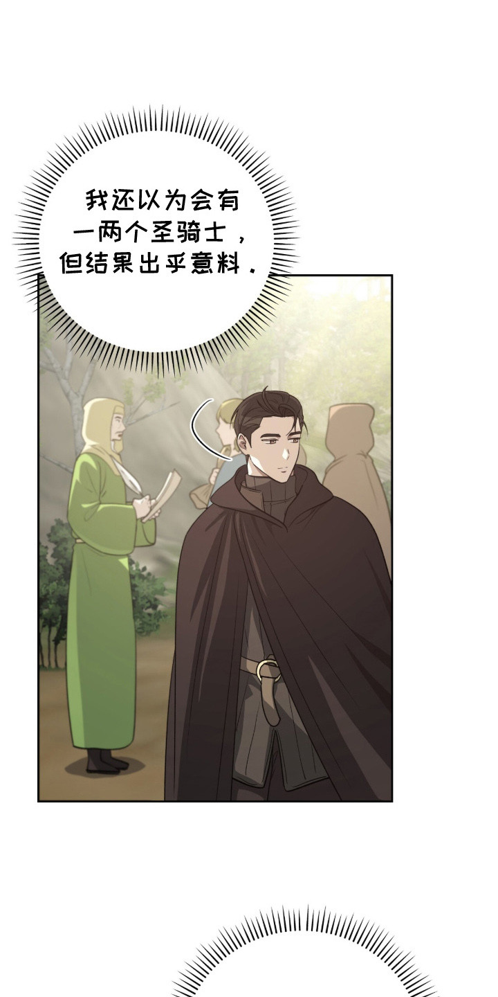 伪信之痕 - 秘密招募 - 第29页