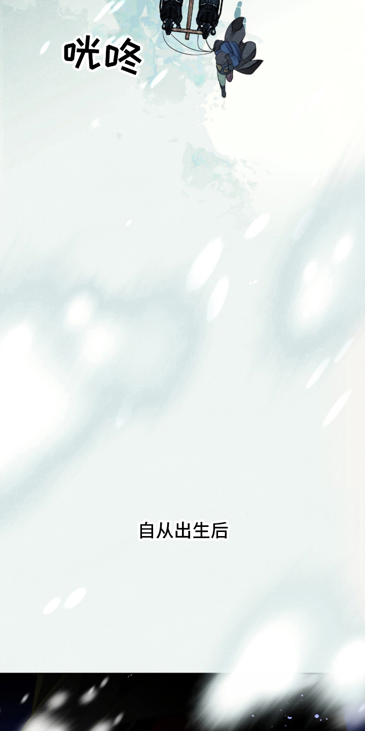 冰封的王嫁 - 公主到访 - 第5页