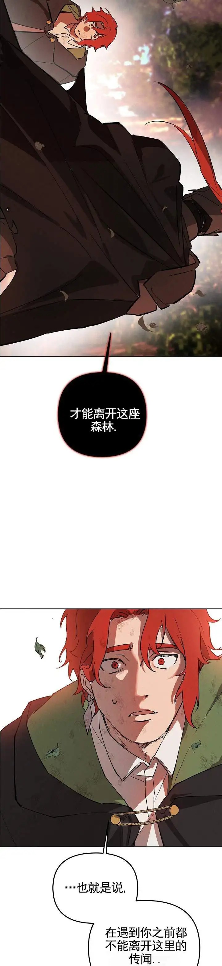 红色诅咒的骑士 - 红色诅咒 - 第10页