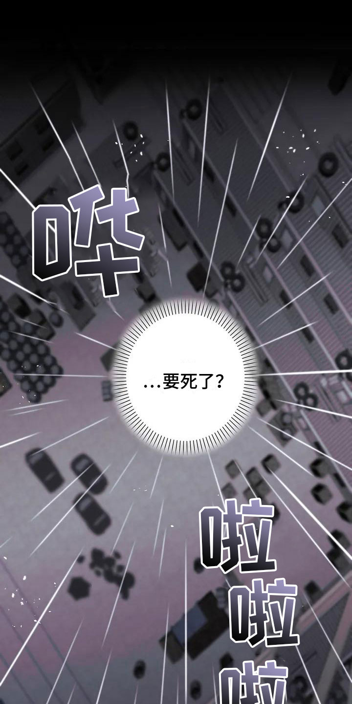 重生攻略 - 处死 - 第13页
