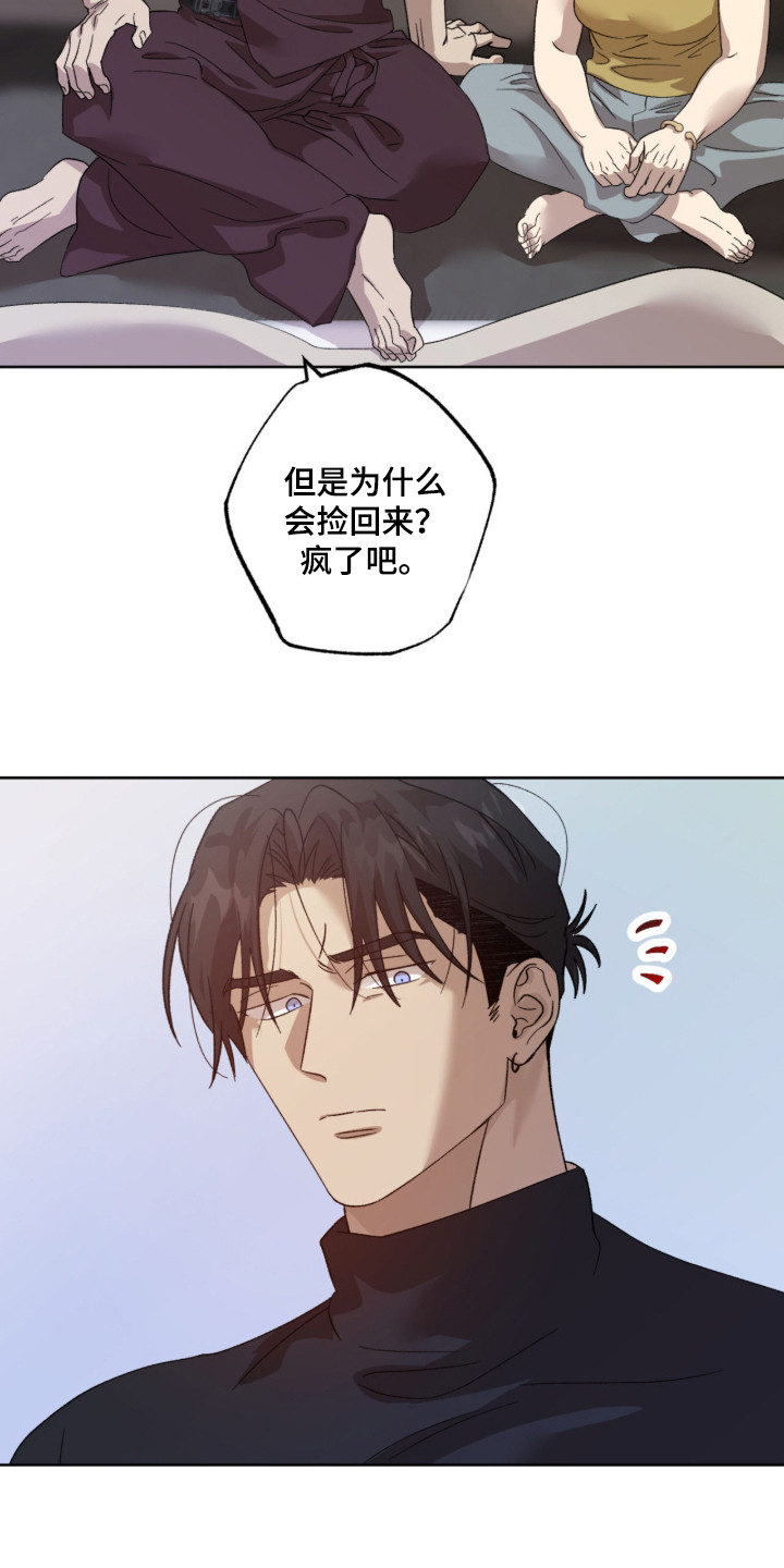 双生悲愿 - 坠落 - 第25页