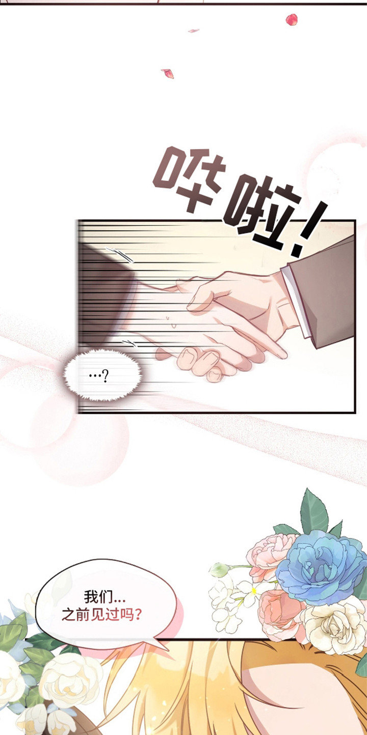 总裁的私人秘书 - 未来上司 - 第17页