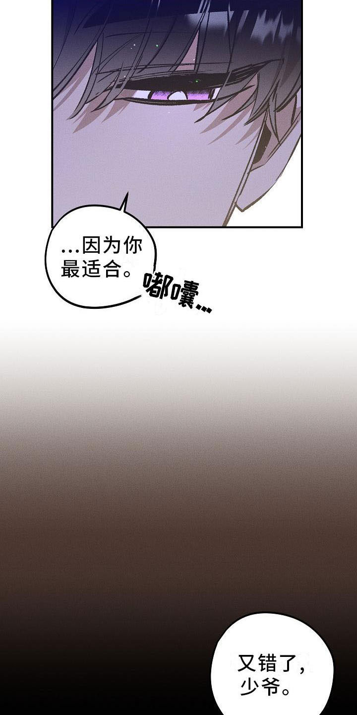 爱的合集 - 薰衣草花园-鞭打 - 第14页