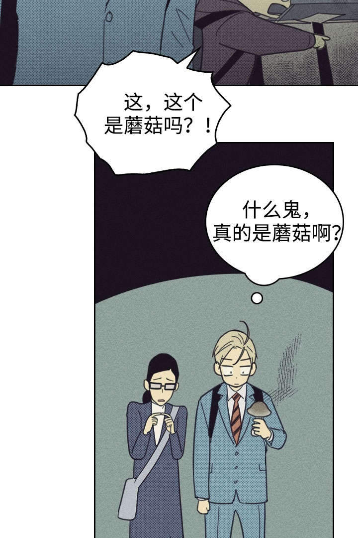 开或关 - 更新装备 - 第6页