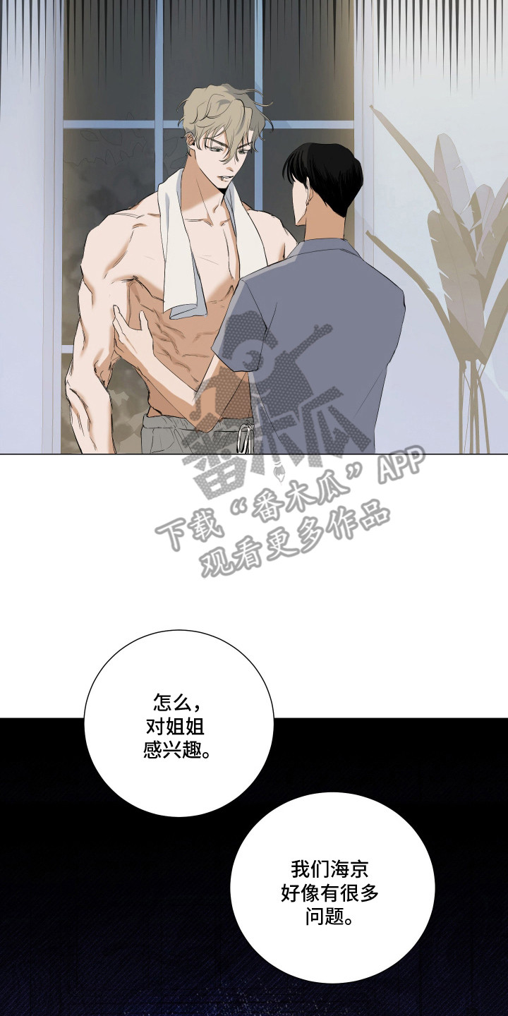 纯血人类与家养兔 - 暗恋 - 第24页
