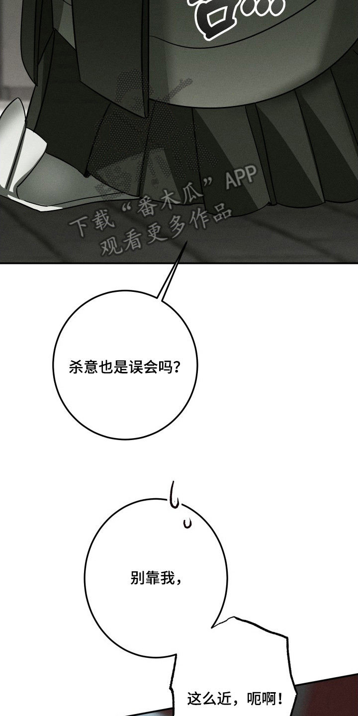玄华囚笼 - 杀气 - 第23页
