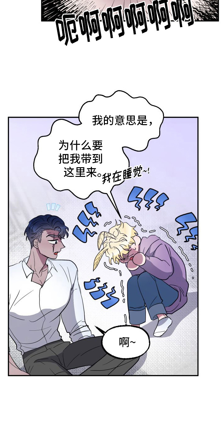 鲨鱼的新娘 - 品种 - 第13页