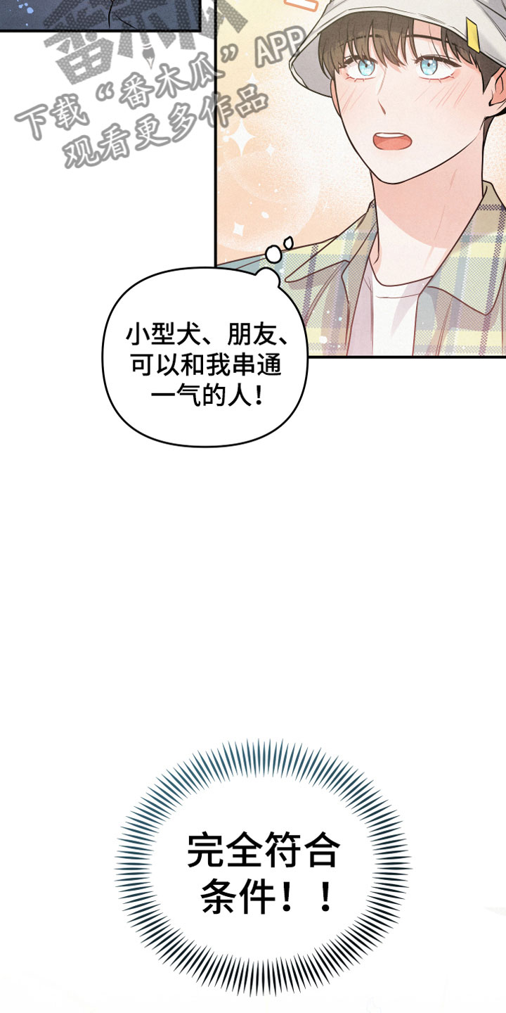 狗狗的恋爱 - 合适的对象 - 第19页