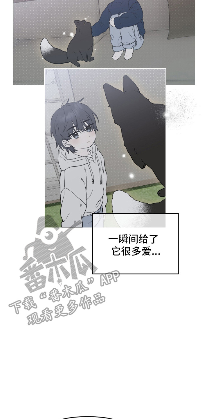 幽光潜行 - 领养 - 第9页