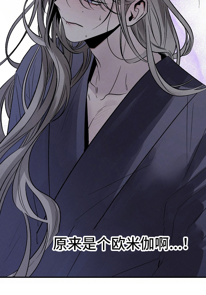 异世界奴隶 - 第二性别 - 第17页
