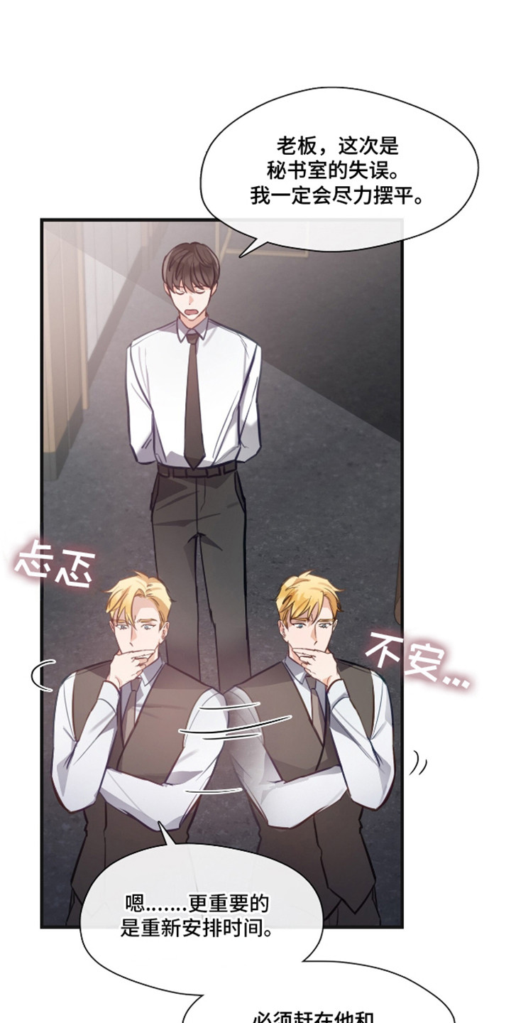 总裁的私人秘书 - 挽救 - 第17页