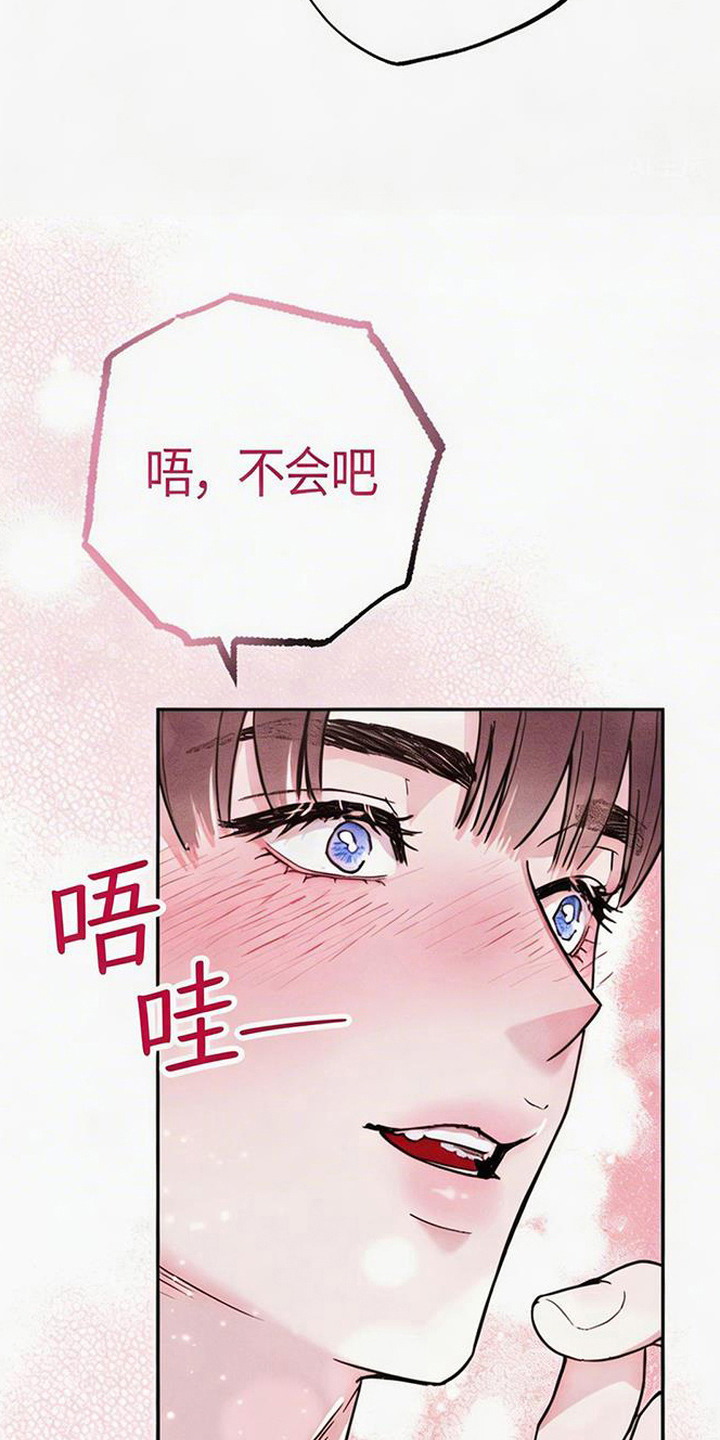 等你说喜欢 - 重逢 - 第13页