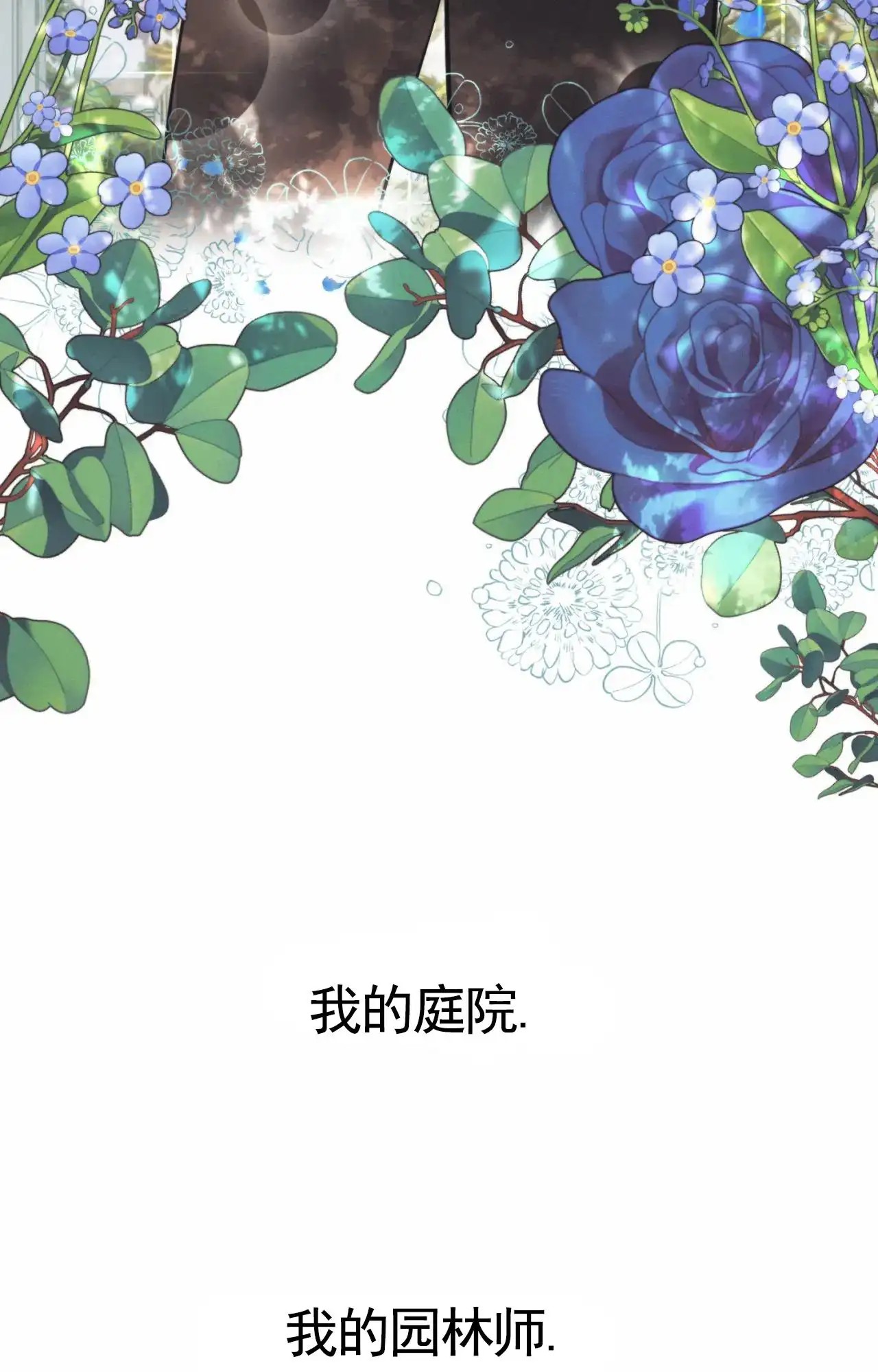 以斯帖庭院 - 不许走 - 第12页