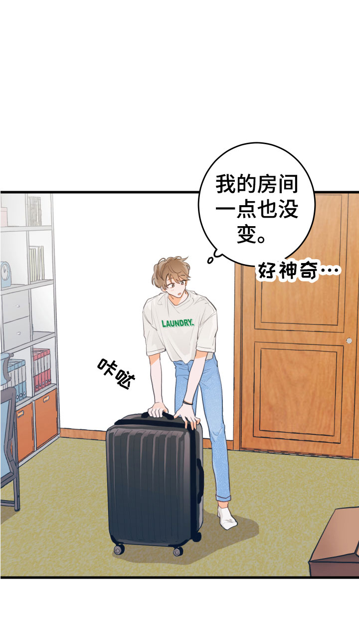 梨花盛开的爱 -  回到故乡 - 第10页