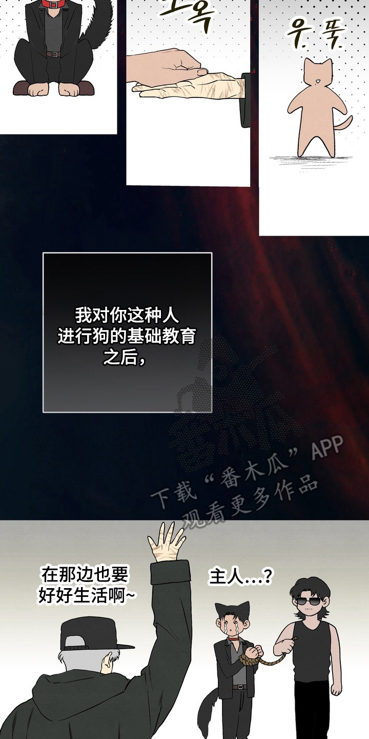 开发训狗 - 无法感知 - 第11页
