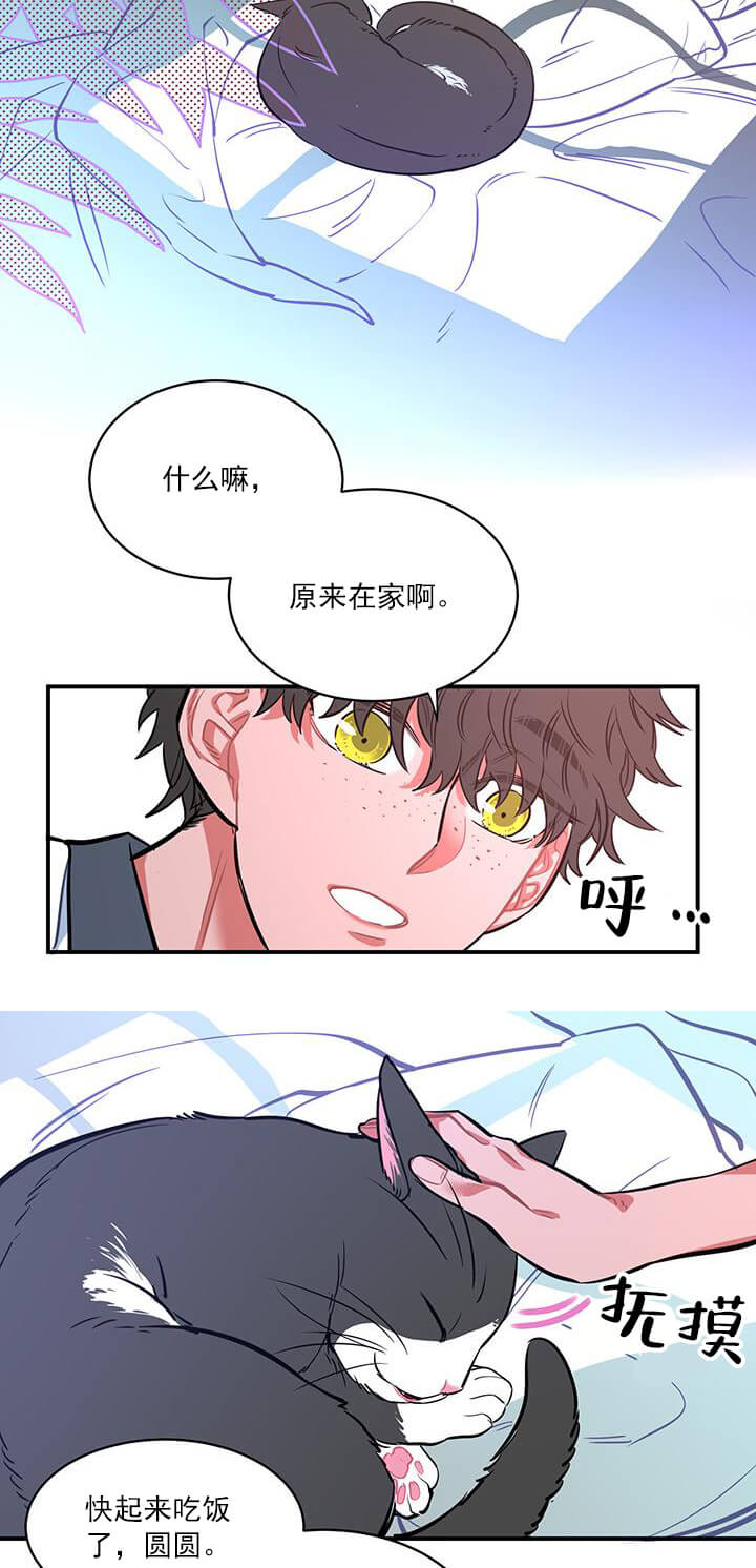 交错的海洋 -   - 第10页
