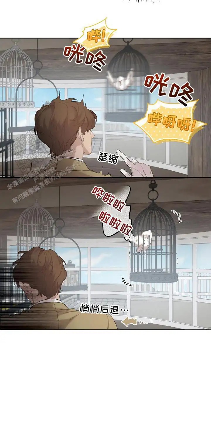 白鸟奇遇记 - 性格不好 - 第9页