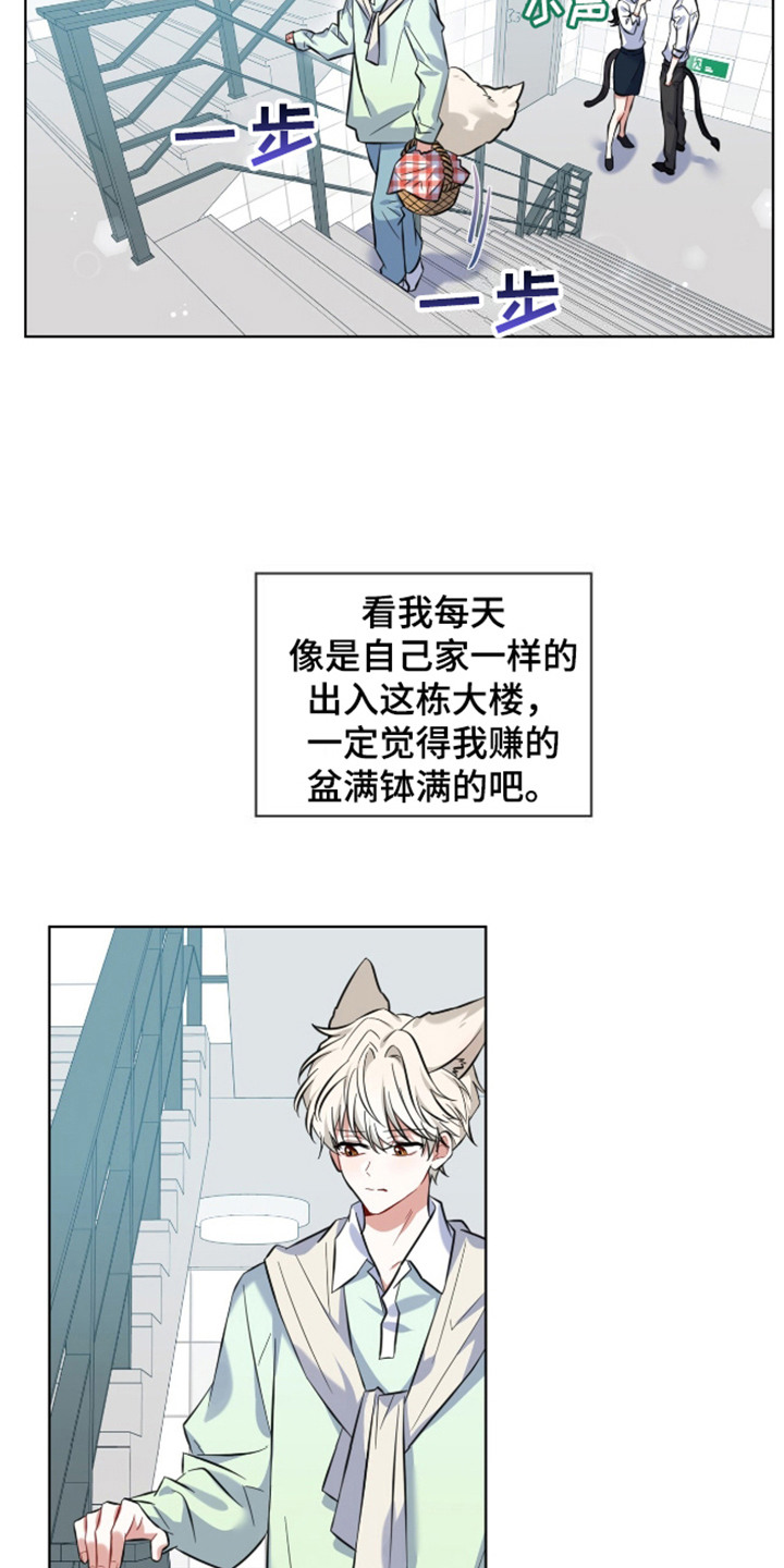 狐狸特饮 - 出众之处 - 第16页