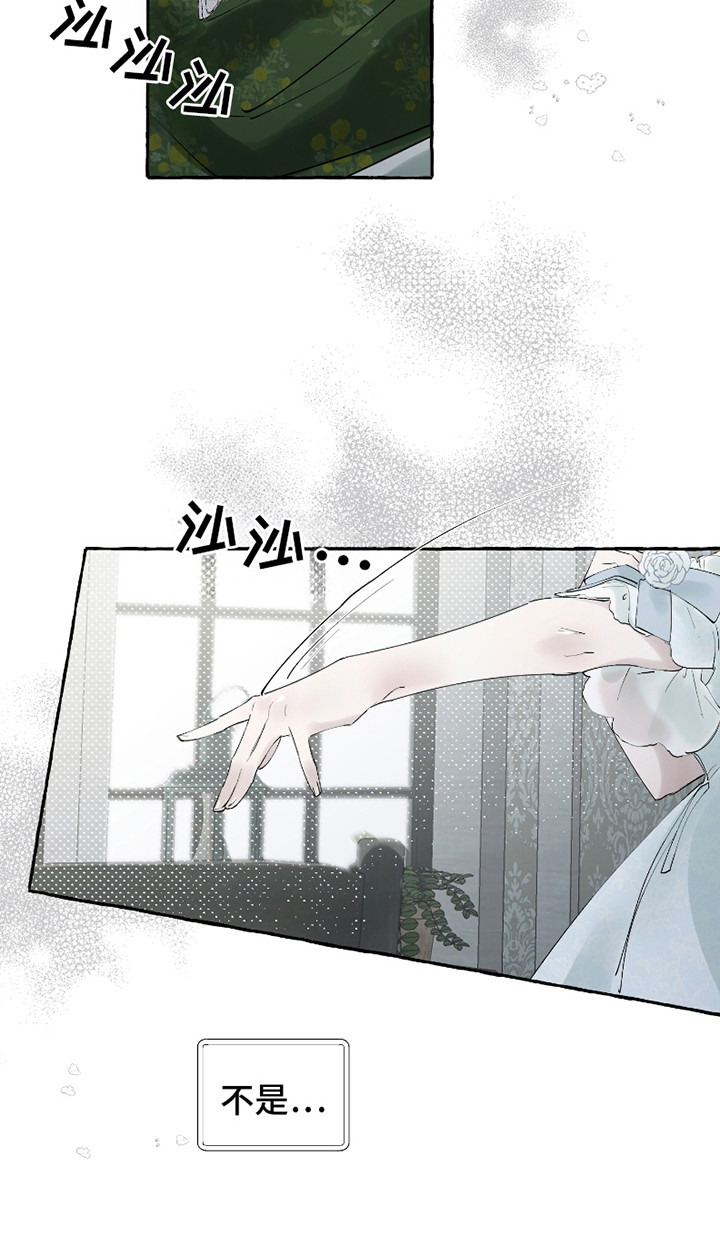 皇宫院子里的狗 - 伯爵家 - 第17页