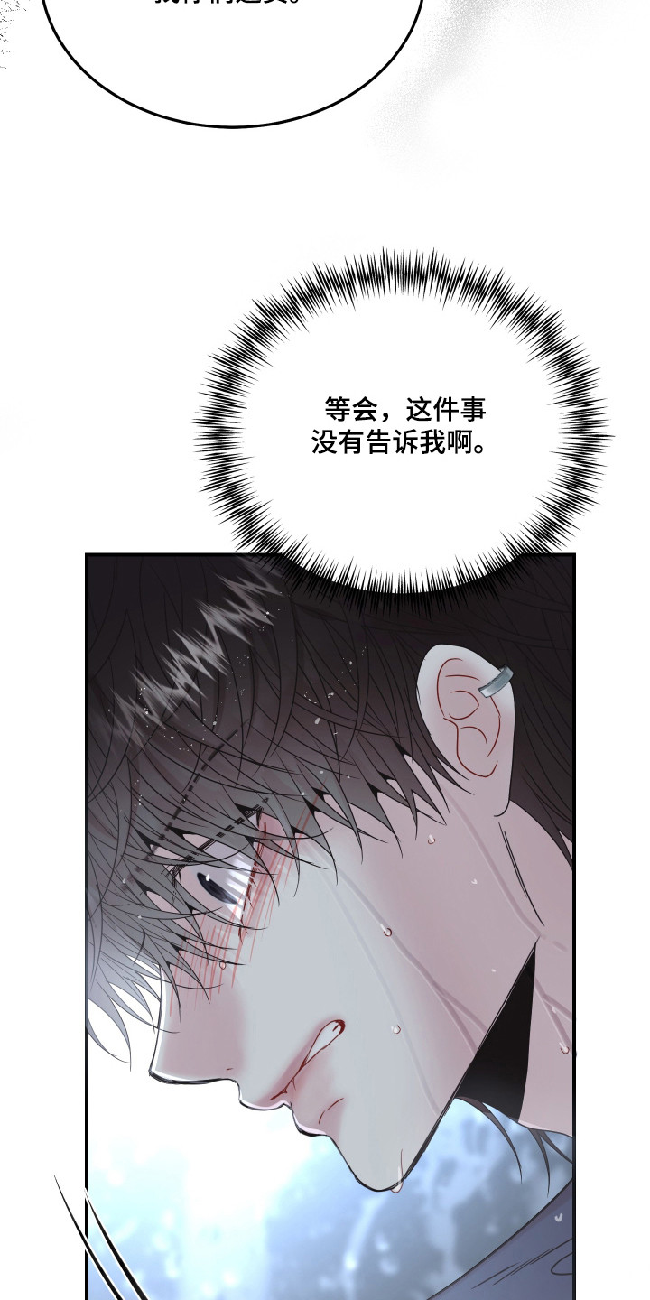 欧米伽的伪装 - 替身 - 第17页