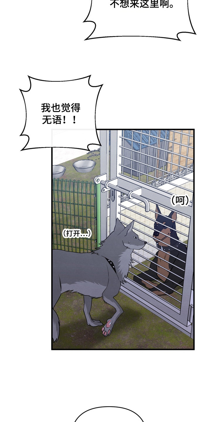 开发训狗 - 规则 - 第22页