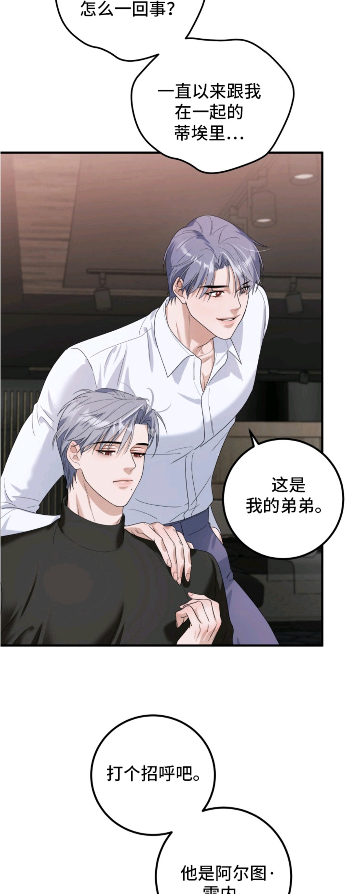 特殊开发虚妄之爱 - 双胞胎 - 第14页