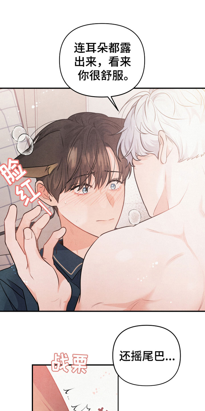 狗狗的恋爱 - 小型犬 - 第18页