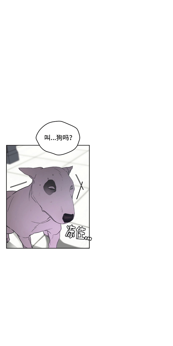 呼吸的记忆 - 斗犬 - 第6页