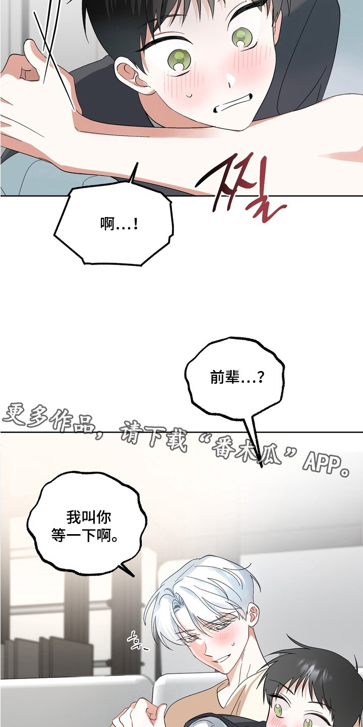 我的老鼠学长 - 老鼠 - 第12页