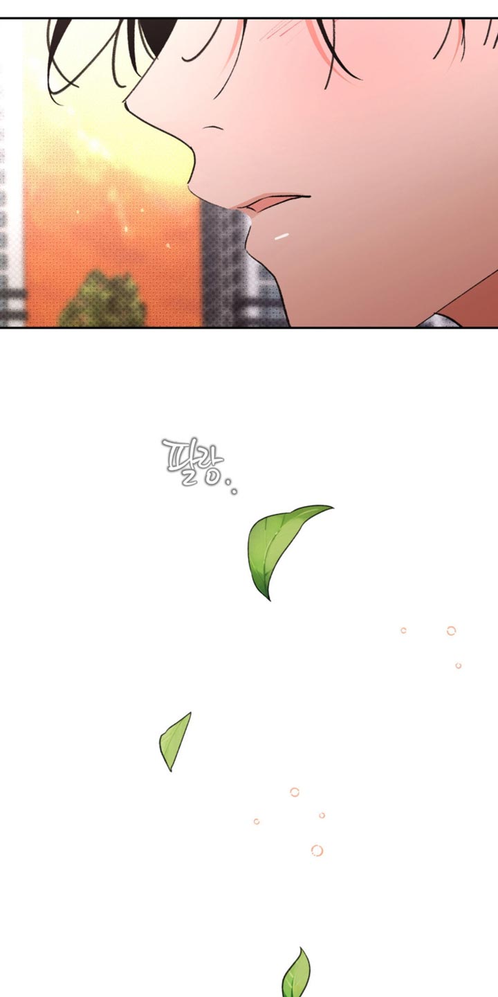 随声而动 - 我很爱你【完结】 - 第21页