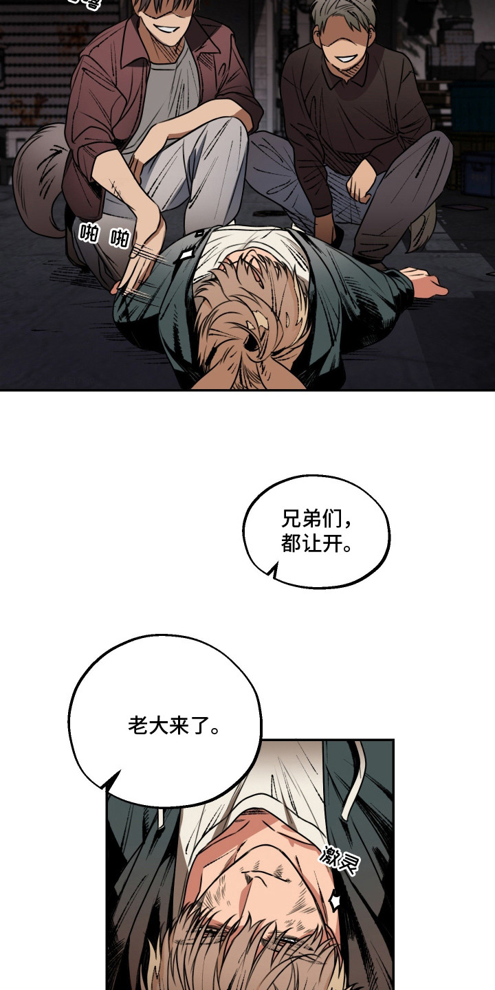 兔入狐窝 - 卑鄙 - 第17页