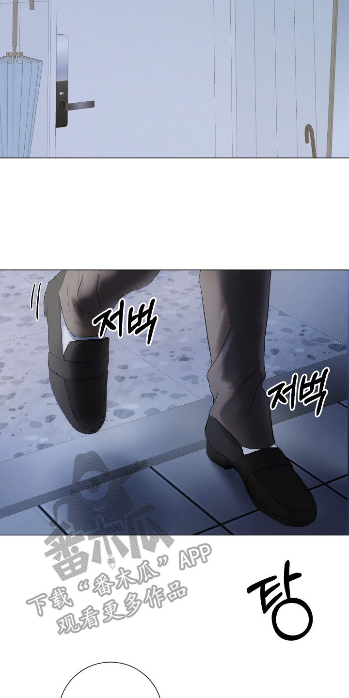 纯血人类与家养兔 - 担忧 - 第21页