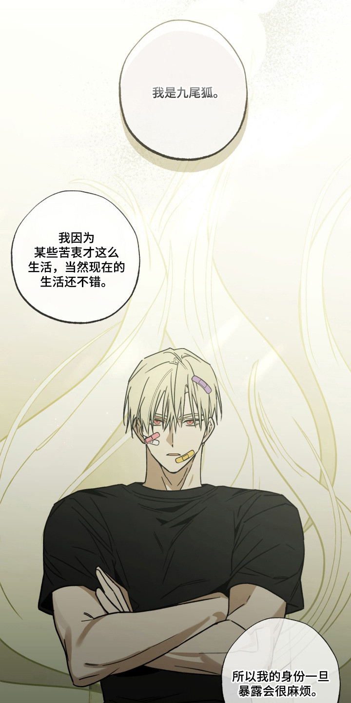我的狐妖同事 - 重新介绍 - 第20页