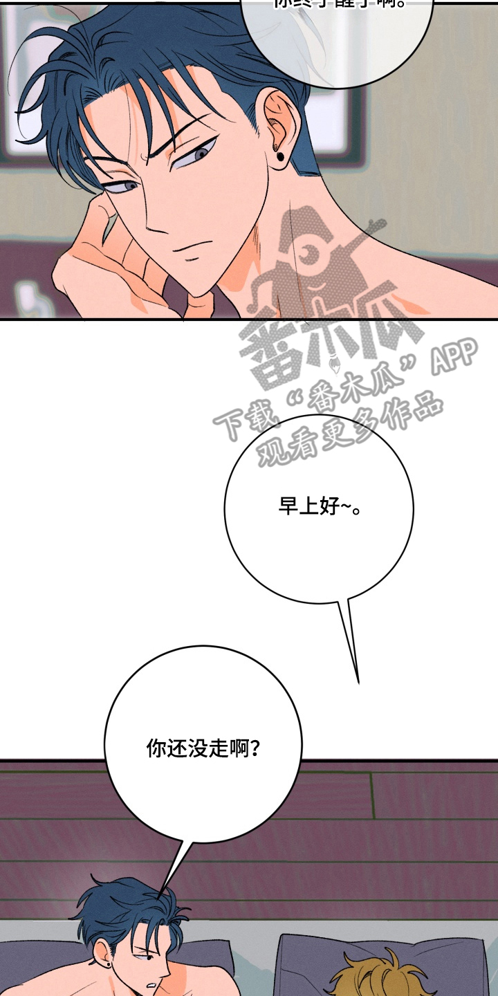 报复性依恋 - 梦见的对象 - 第9页