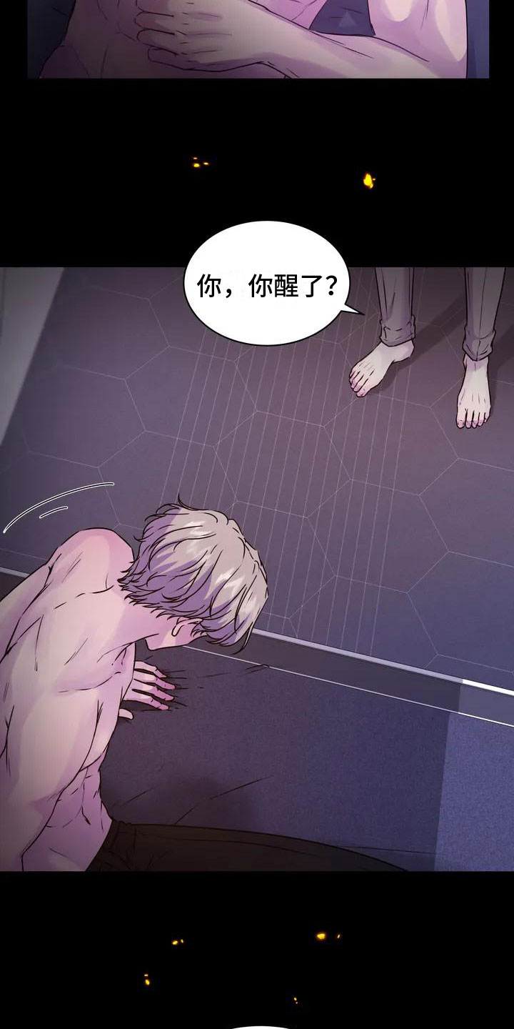 曙光 - 固执 - 第15页