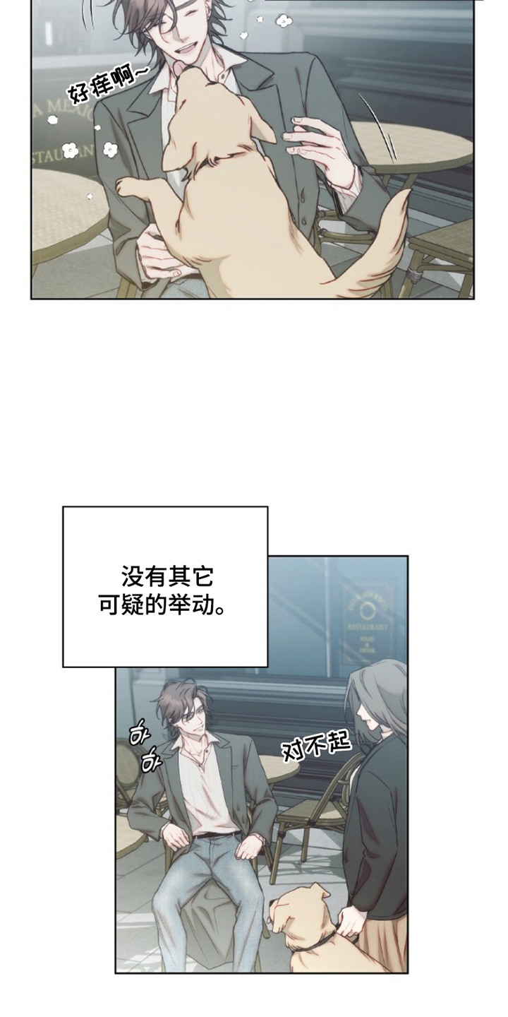 血色魅影 - 幻觉 - 第14页
