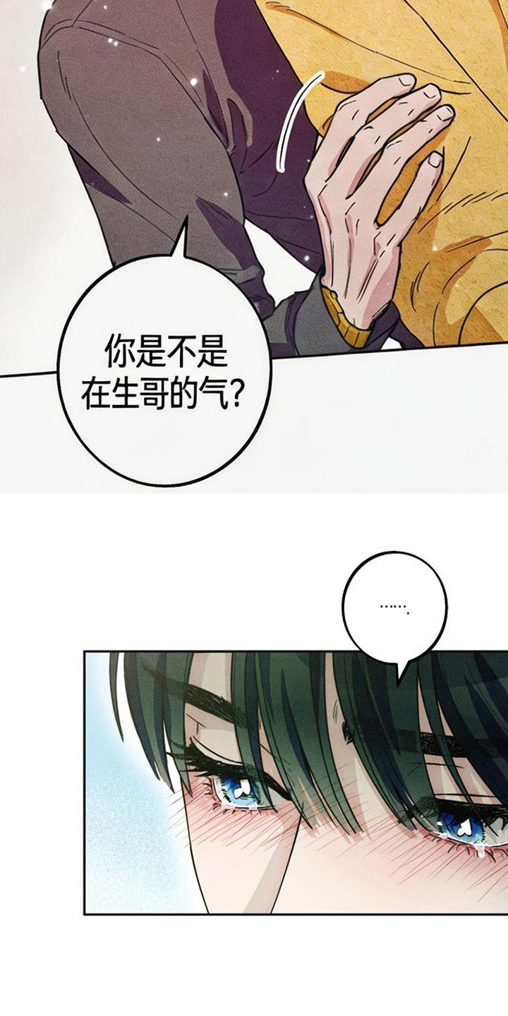 等你说喜欢 - 重逢 - 第21页