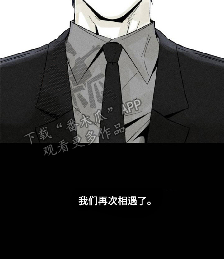 重逢诡计 - 别无他法 - 第24页
