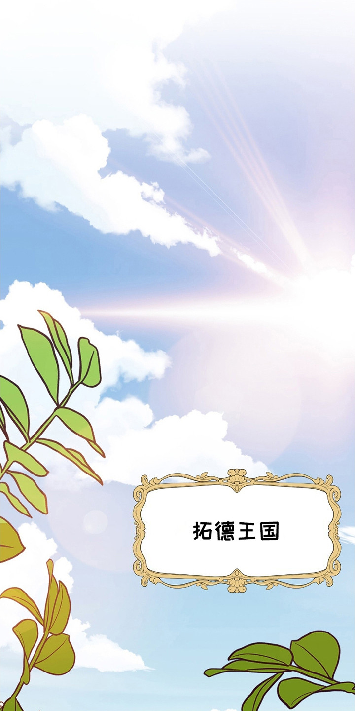 皇家婚礼 - 王子殿下 - 第11页