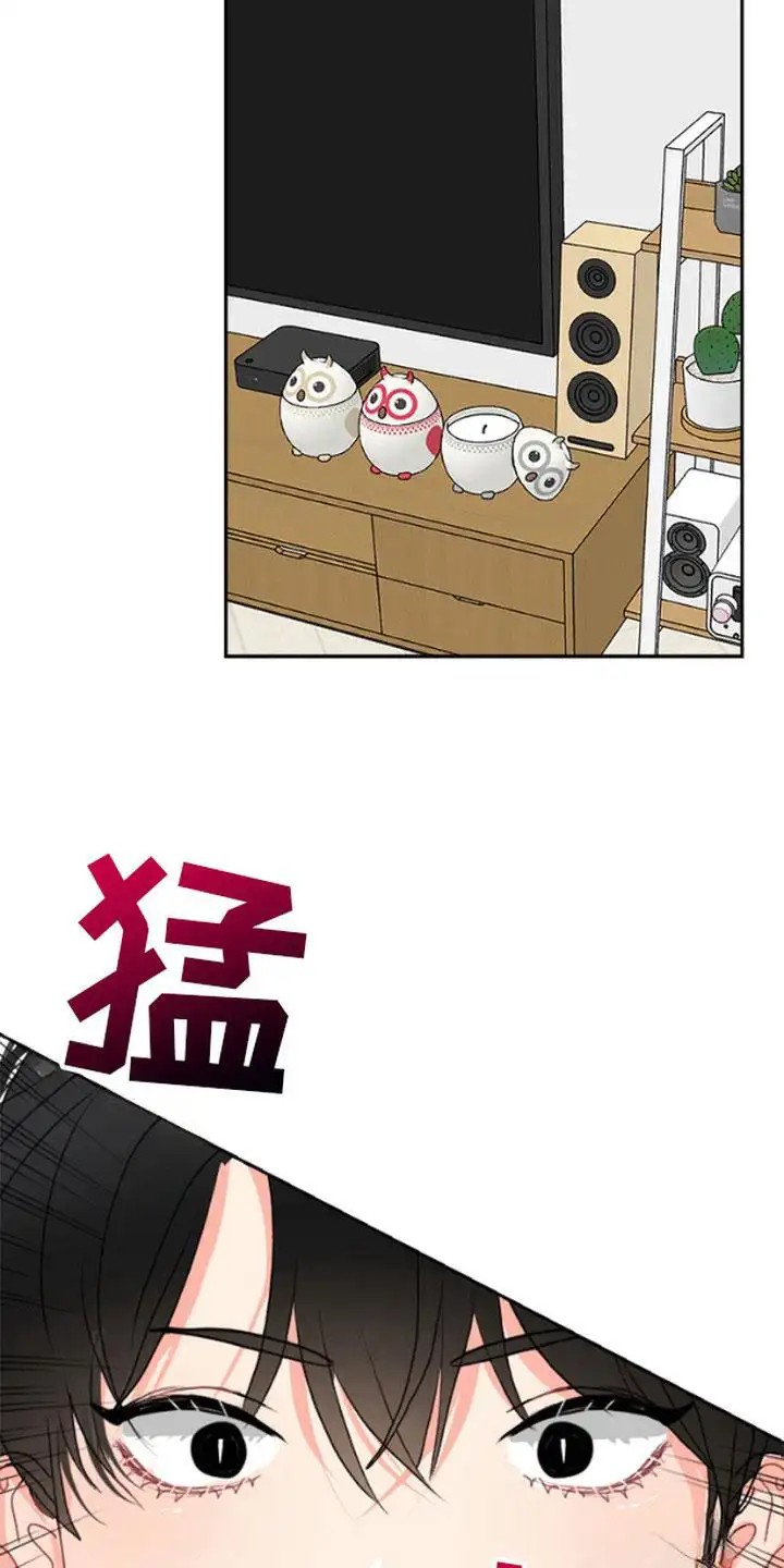 单恋小奶狗 - 不是梦 - 第13页