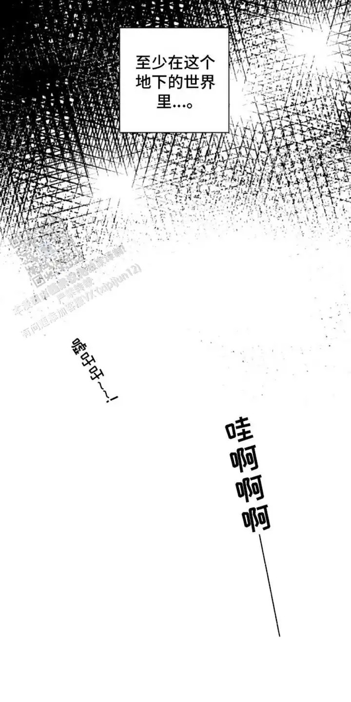 不屈的冠军 - 地下斗技场 - 第14页