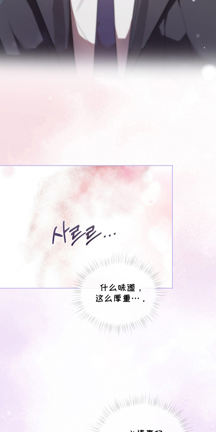 桃子味陷阱 - 借口 - 第15页