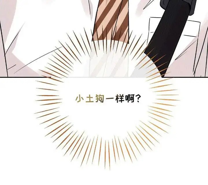 他的专属小狗 - 小土狗 - 第30页