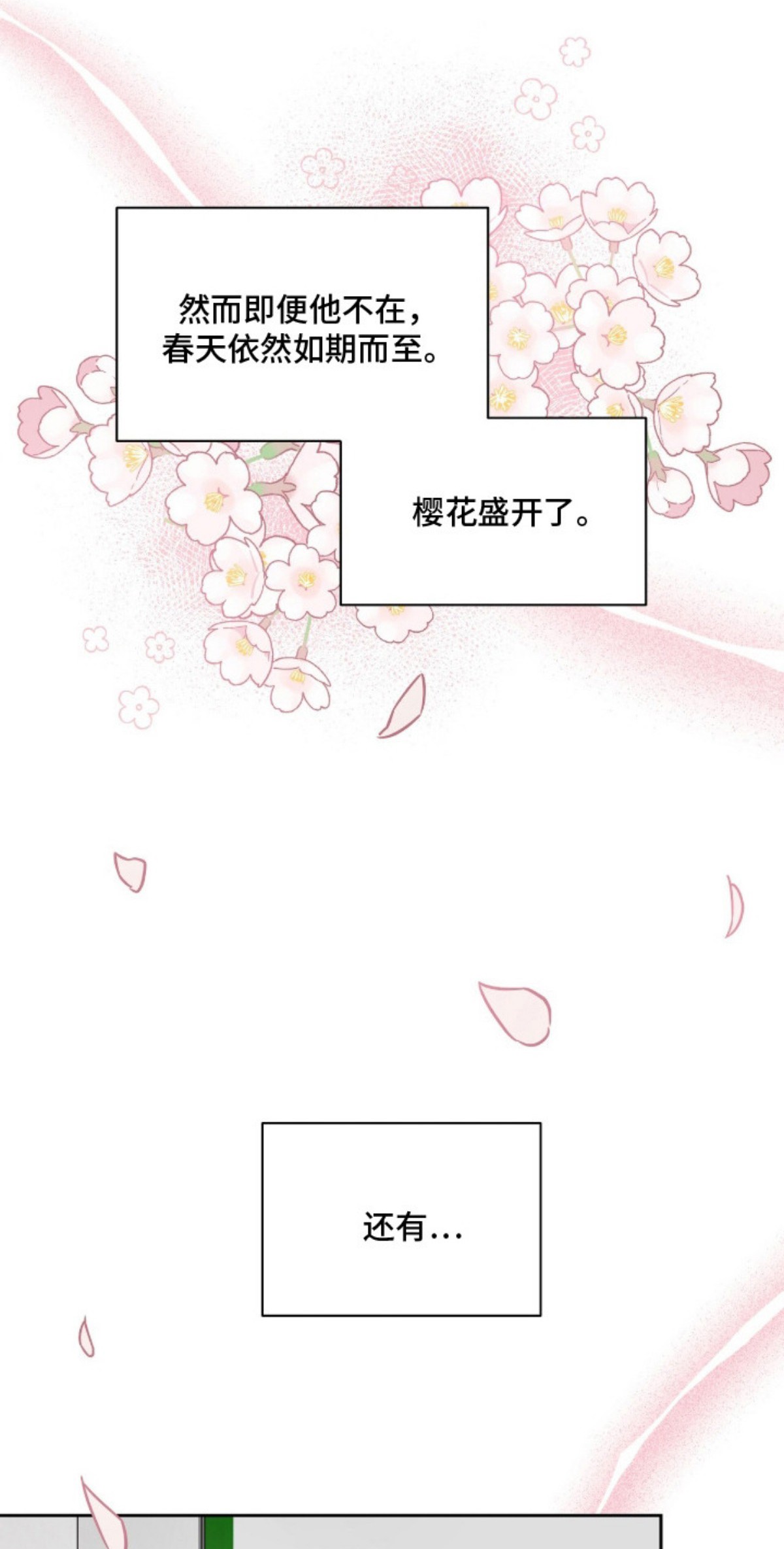 樱雨如初 - 怀孕 - 第19页
