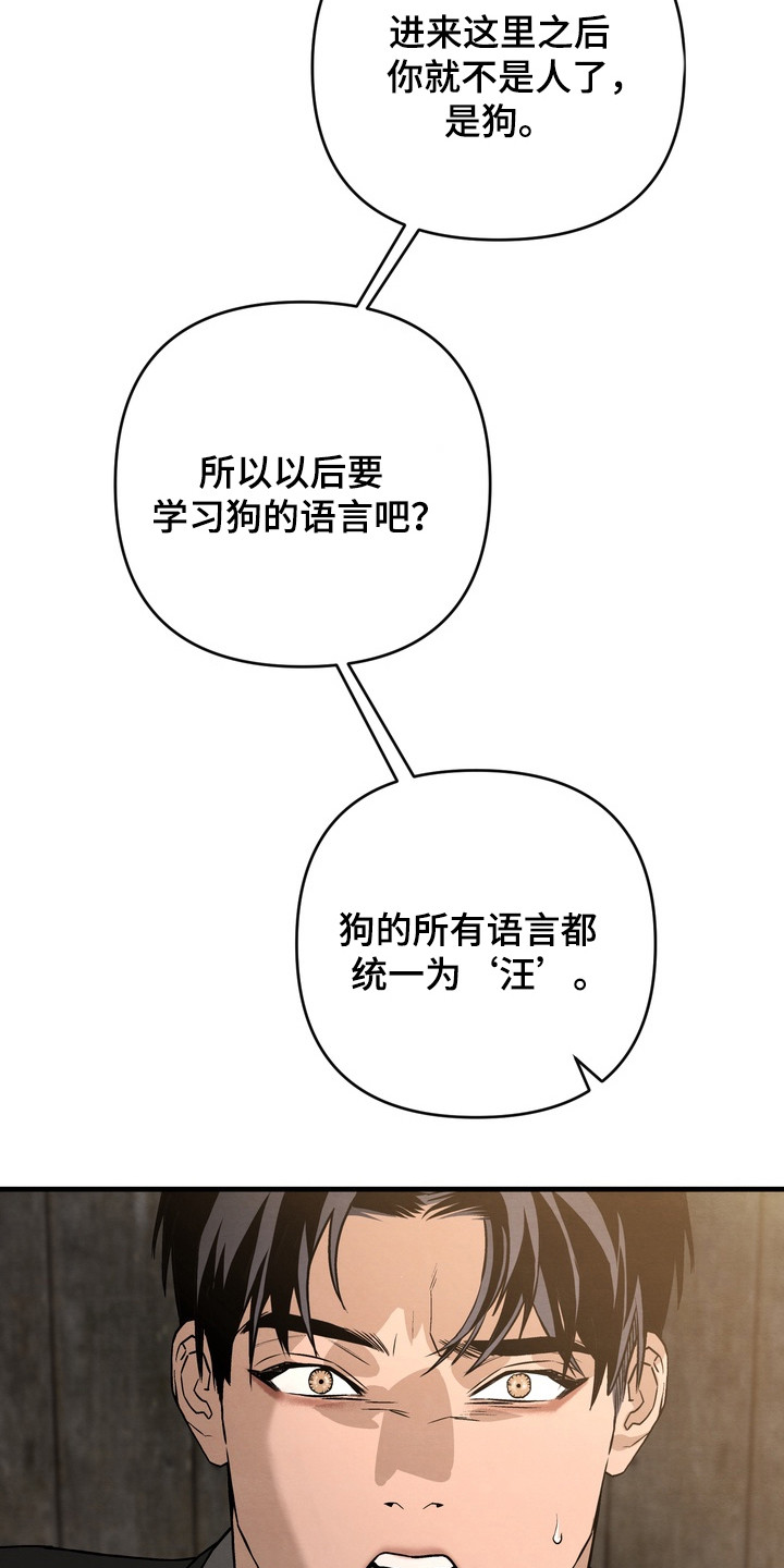 开发训狗 - 规则 - 第16页